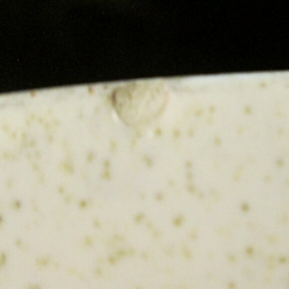 2 Vintage Franciscan Atomic Starburst Dinner Plates - Picture 4 of 7